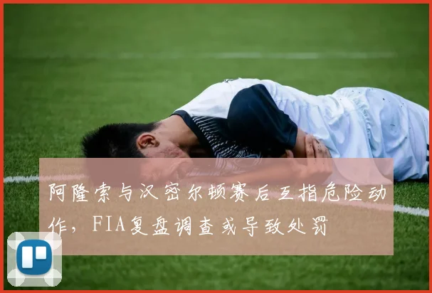 阿隆索与汉密尔顿赛后互指危险动作,FIA复盘调查或导致处罚
